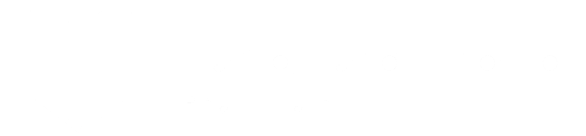 Vanguard Group